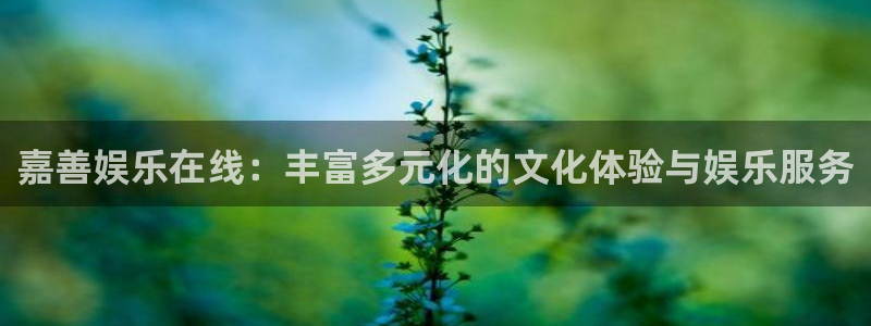三牛娱乐